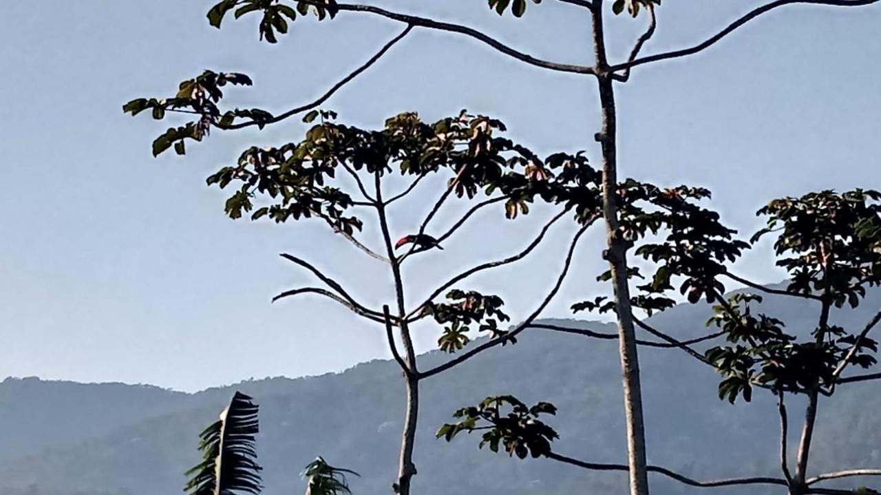 Casa De Montanha Na Praia إلهابيلا المظهر الخارجي الصورة